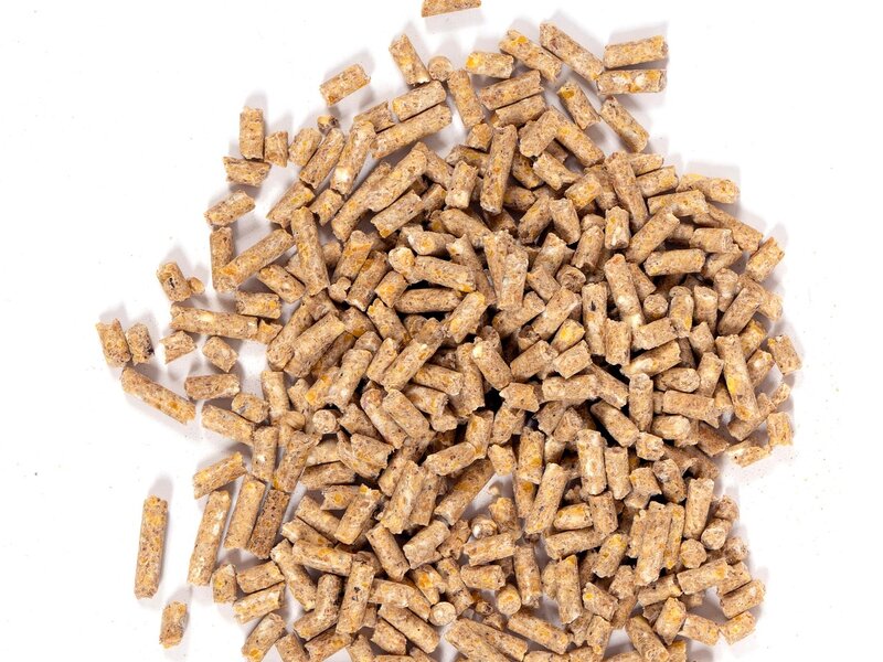Feed Additives