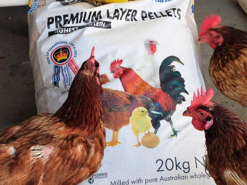 Feed Additives